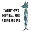Rivers Edge Products Fishbone Wind Chime, Unique Fish Skeleton Wind