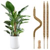 3 Pack Moss Pole Monstera Plant Support, 28 Inch Bendable