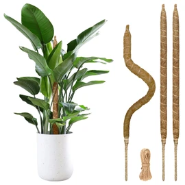 3 Pack Moss Pole Monstera Plant Support, 28 Inch Bendable Moss Poles for Climbing Plants with 20 FT Jute Ropes, Coco Coir Moss Pole Kit Support for Indoor Potted Plants, Pothos, Philodendron