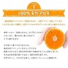 Fukuda Farm Horse Oil MIKAN AROMA Lip Cream (1 Piece),