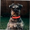 Mipcase 1pc Led Dog Collar Glow Necklace for Night Safety
