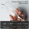 AMDTU E12 25 Watt Equivalent Clear Small Base LED Bulb