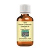 Devprayag Pure Roman Chamomile Essential Oil (Chamaemelum nobile) Natural Therapeutic