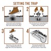 YARDDOG Mole Trap - Step-to-Set Scissor Style, Commercial Grade Durable