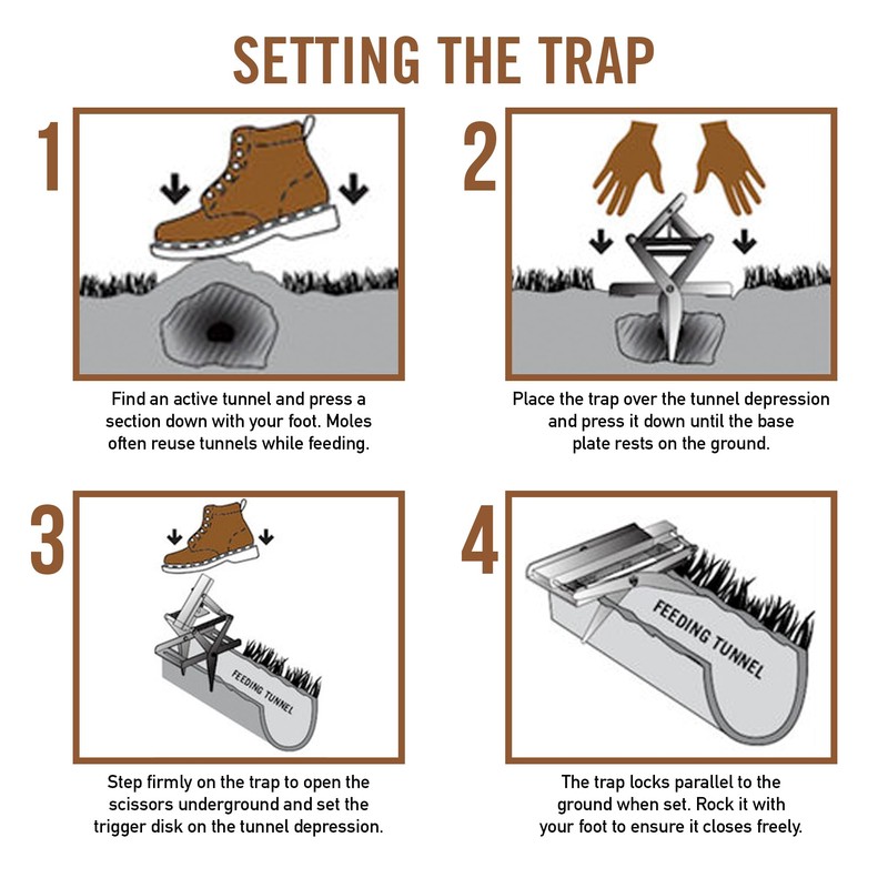 YARDDOG Mole Trap - Step-to-Set Scissor Style, Commercial Grade Durable
