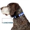 Buckle-Down 15-26" Hibiscus Blue/White Plastic Clip Collar, Large