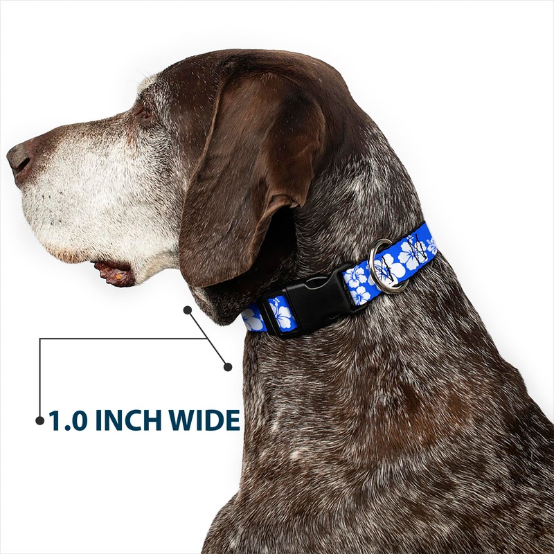 Buckle-Down 15-26" Hibiscus Blue/White Plastic Clip Collar, Large