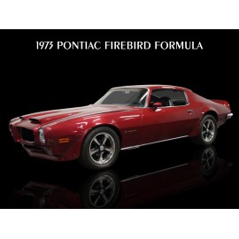 1973 Pontiac Firebird Formula in Deep Red NEW METAL SIGN: 12x16" Ships Free
