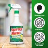 Spray Nine Multi-Purpose Cleaner & Disinfectant 32oz Bottle 26832