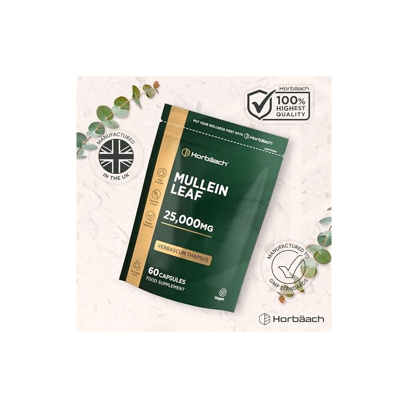 Mullein Leaf Extract 25,000mg | Max Strength Formula for Men