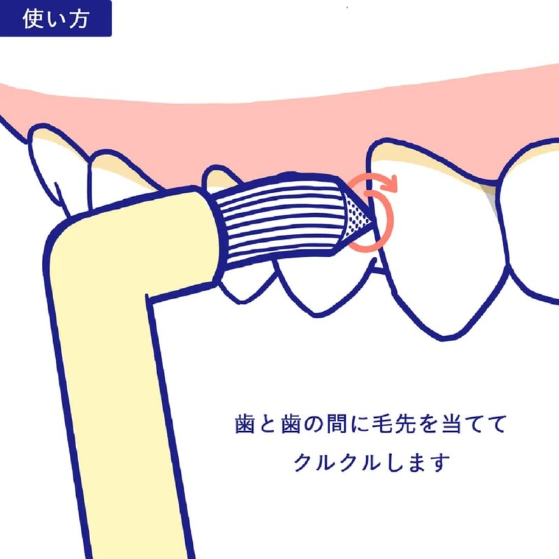 One Taft Brush for Dental Oral Care Pecure LS (Long