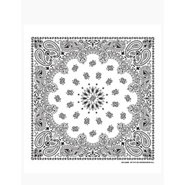 HabaHank Classic Paisley [White]