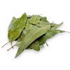 Dried Eucalyptus Leaves 85g - 1.95Kg Premium Quality Eucalyptus Globulus