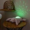 Nattou LED-Nachtlicht Koala-Bär, Sternhimmel-Projektor, 3 LED-Farben, 5 Klänge und Lieder,