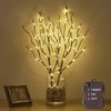 Hairui Twig Branches with Fairy LED Lights 18IN 70LED Battery