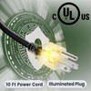 SnulyHeet Electric Heat Cable for Roofs and Gutters with Clips