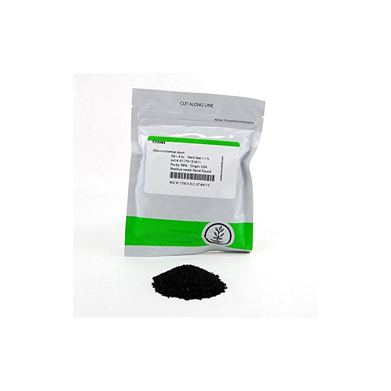 Chives Microgreens Seeds: 4 Oz - Non-GMO, Vegetable Garden &