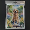 Caroline's Treasures Golden Retriever Spring Path Greeting Cards Pack of