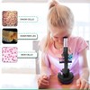 AmScope M30 Series 52-Piece STEM Microscope Kit for Kids -
