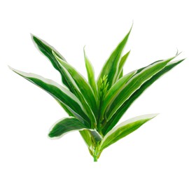 AQUANEAT Terrarium Plant, Reptile Plant, Fake Plant for Reptiles, Terrarium Reptile Décor for Amphibian Habitat