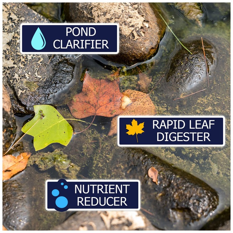 WinterKleen Fall & Winter Bacteria for Ponds | Koi Pond