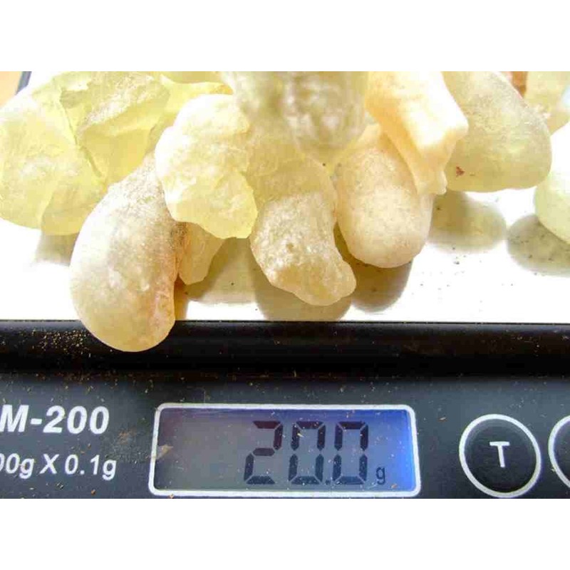 Frankincense 100% Pure Organic Frankincense Resin Block Oman Royal Hojari