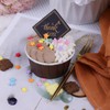 Rainbow Sprinkles Edible Dot Sprinkles, 11.3oz/320g Ice Cream Sprinkles with