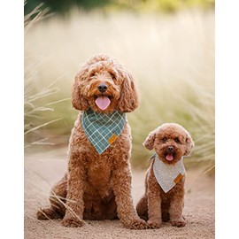 Remy+Roo Bandanas para perro – Paquete de 4 | Logan Set | Tela duradera de alta calidad | Forma única | Ajuste ajustable | Múltiples tamaños disponibles (pequeño)