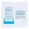 Crema Hidratante Multi Ceramide 50ml Tocobo Adultos