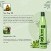 Tea Tree Conditioner 400ml