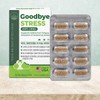 굿바이스트레스 (1300mg 60정) Goodbye Stress (1300mg 60 Tablets)