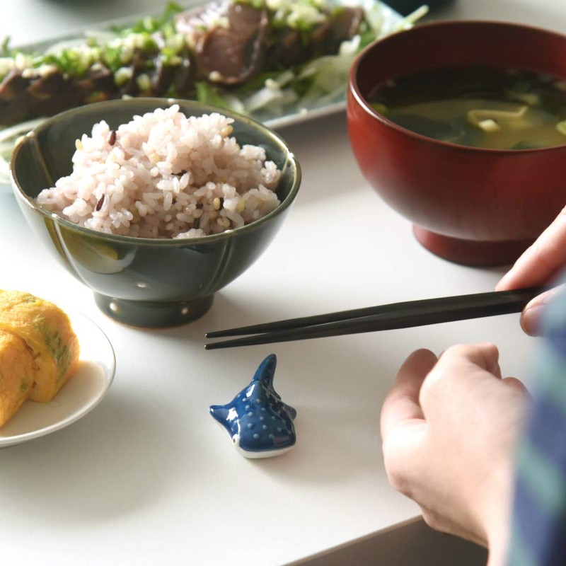 natural69 Whale Shark Ladder Light Blue