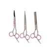 Pet Rabbit Grooming Scissors Stainless Steel Round Tip 4 in
