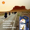 Shell Rotella T6 Full Synthetic 10W-30 Motor Oil, 1 Gallon