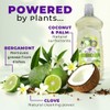 KUXTAL Dish Soap Liquid 3 Pack | Biodegradable & Eco-Friendly