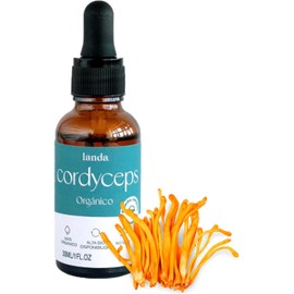 LANDA Extracto Liquido de Hongo Cordyceps 30 ml Extracto líquido de Hongo Cordyceps Militaris 100% Orgánico Alta Concentración 10:1 Aumenta Energía Soporte Respiratorio Propiedades Antiinflamatorias