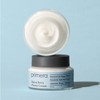 Primera [프리메라][대용량] 알파인 베리 워터리 크림 150ml [Primera][Large Size] Alpine