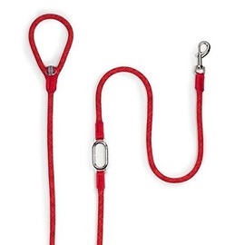 High5Dogs, Ergonomische Hundeleine, 250 cm, Orange, leicht und langlebig, ideal für optimale Kontrolle beim Spaziergang, 13 mm, Orange, Freizeit-Clic-Modell