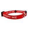 Adopt Me Dog Collar - Friendly Sight Dog for Small