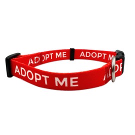 Adopt Me Dog Collar - Friendly Sight Dog for Small Medium Large Dogs Cats (Medium, Red)