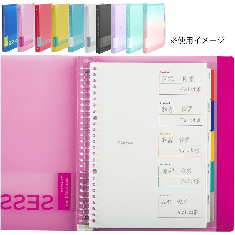 Maruman F310A-52A Loose Leaf Binder Session B5, 26 Holes, Sora