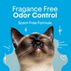 Boxie Unscented 30 Day Odor Control Clumping Clay Cat &