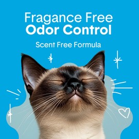 Boxie Unscented 30 Day Odor Control Clumping Clay Cat & Kitty Litter 40 lb, 99.9% Dust-Free, Hard Flat Top Clumps, No Fragrances No Fillers, Long-Lasting, Easy to Scoop