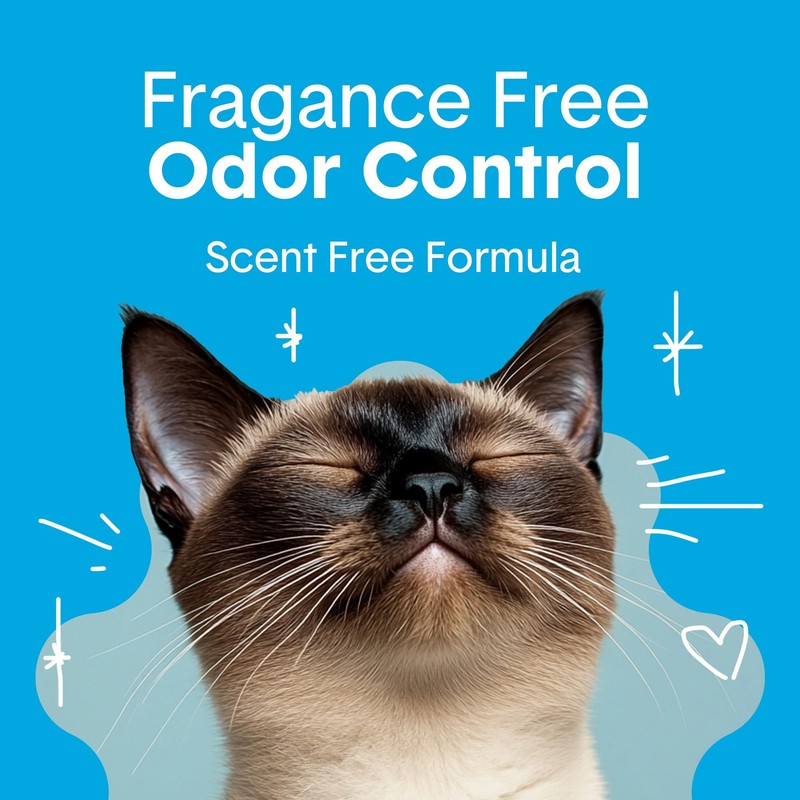 Boxie Unscented 30 Day Odor Control Clumping Clay Cat &