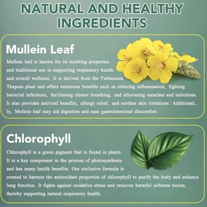 Mullein Leaf Drops with Chlorophyll Extract Drop- Lung Cleanse -