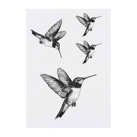 4 x 'Hummingbird in Flight' Temporary Tattoos - Water Resistant, Skin-Safe, Non-Toxic Transfers, Mixed Sizes (TO00082186)