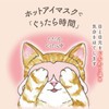 Neko no Kimochi Nyawari Steamy Lazy Eye Mask Assorted 3