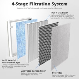 SAKEGDY H7123101 / H211 / H211S Filter Replacement, Compatible with Govee Air Clean Purifier H7123 and Homvana Air Clean Purifier H211/H211S, 2 Pack H13 True HEPA 4-stage Filter + 4 Extra Pre-filter