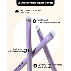 Eyeshadow Brush, EIGSHOWBEAUTY Professional Eye Shadow Brush BristleTreated with Silver Ion For Blending, Smudging, Shading (Purple E831P)