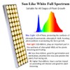 JCBritw 60W LED Grow Light with Stand White Full Spectrum